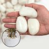 38LBS Large White River Rocks 2-3 Inch - Natural Polished Pebbles for Landscaping, Garden Decor, Aquariums, Decorative Stones for Pathways, Planters
