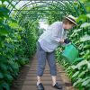 8 Ft Outdoor Garden Pathway Patio Roll Out Straight Walkways with Metal Wire Connection